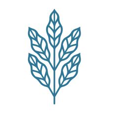 Simple leaves
