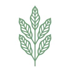 Detailed leaves