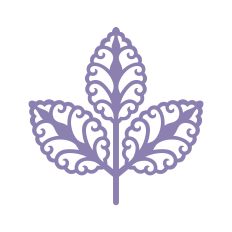 Beautiful simple leaf