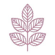 Cute boho branch with leaves