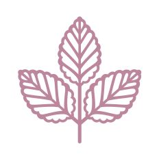 Boho cute leaves