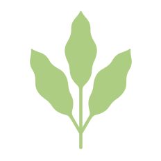 Simple leaf silhouette