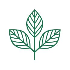 Simple leaves for flowers