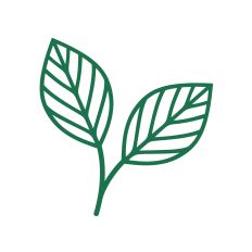 Simple flower leaf