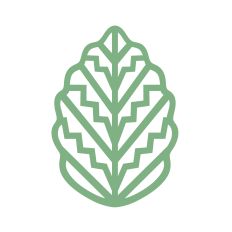 Boho geometric leaf
