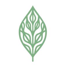 Boho beautiful Leaf