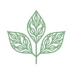 Beautiful simple leaf