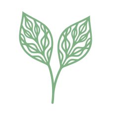 Beautiful simple leaf