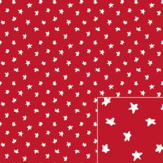 White Rustic Christmas Stars on a Red Pattern