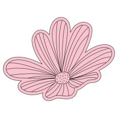 Aster Flower Sketch 