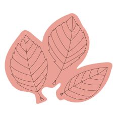 Set of Three Leaves Sketch Design