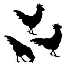 Cockerels Silhouette Farmyard Animal 