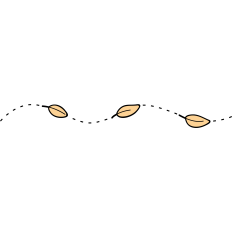 divider fall leaves