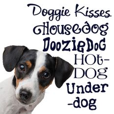 Dog Eat Dog Font Bundle