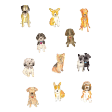 Watercolor Dogs Sticker Sheet