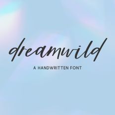 Dreamwild Script Font