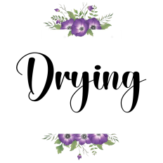 Drying Font