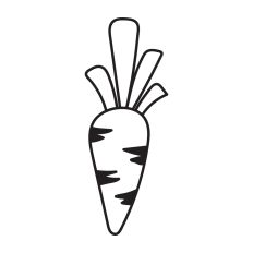 Carrot