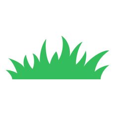 Grass