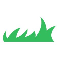 Grass