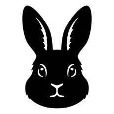 Easter bunny face