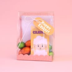 Clear Easter Bag with Coloring Kit - Pink Lamb