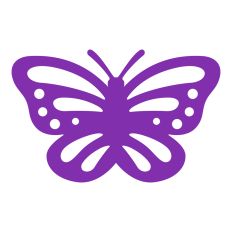 Spring Butterfly