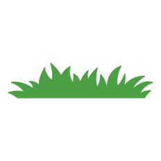 Grass
