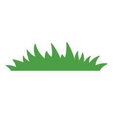 Grass
