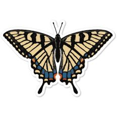 Eastern Swallowtail Butterfly