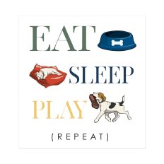Eat Sleep Play Repeat