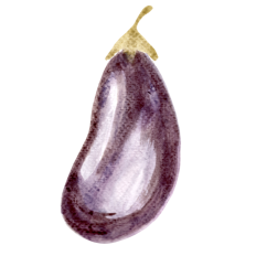Watercolor Eggplant