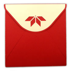 Env Box Half Star for 3D 5x5 Card
