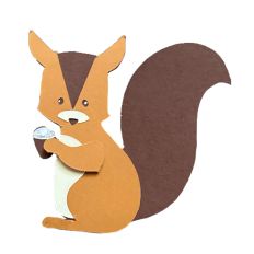 Cute Squirre