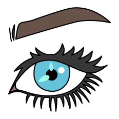 Eye