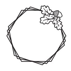 Hexagon Frame