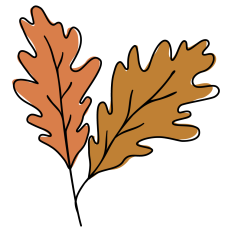 Oak Leaves