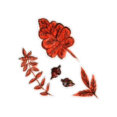 Fall Leaves 2
