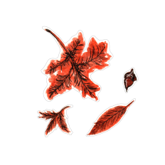 Fall Leaves 3