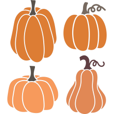 Fall Pumpkins