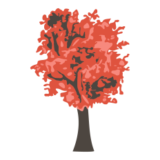 Fall Tree