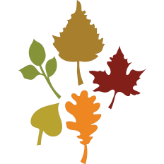 Fall Leaves