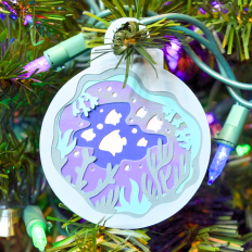 Ocean Fish Ornament