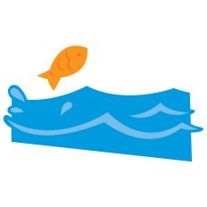 Fish in Water