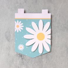 Pennant Daisy