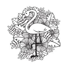 Tropical Bird