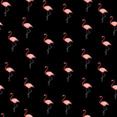 Flamingo pattern paper black background