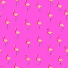 Flamingo pattern paper hot pink background