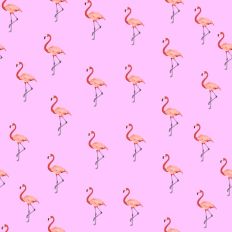 Flamingo pattern paper pale pink background