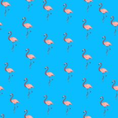Flamingo pattern paper turquoise background